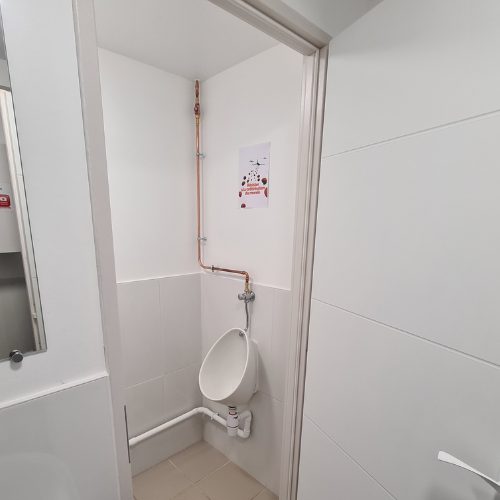 Salle de bain blanche avec douche fermée et WC